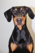 headshot of Karisma
