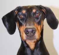 Karisma head shot