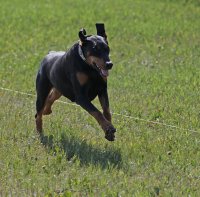 Karisma sprinting