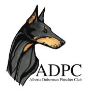 Member of Alberta Doberman Pinscher Club